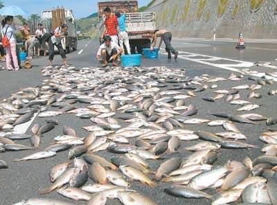 空中降魚(yú)視頻 揭秘罕見(jiàn)空中降魚(yú)現象原理，末日預兆恐怖的空中降魚(yú)實(shí)圖