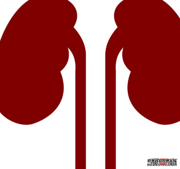 人體有哪些不需要的器官?人類(lèi)不需要的十個(gè)器官(不影響生活)