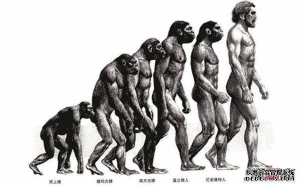 人類(lèi)起源之謎:揭秘人類(lèi)由來(lái)的三大可能(外來(lái)物種)