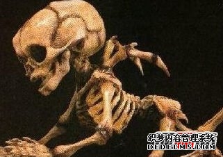 人類(lèi)已知的50類(lèi)外星人