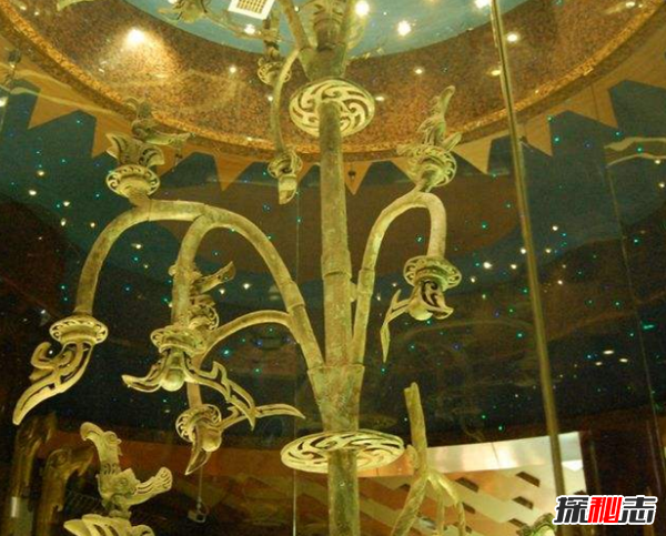 青銅神樹(shù)的秘密揭秘:青銅神樹(shù)為什么逆天?