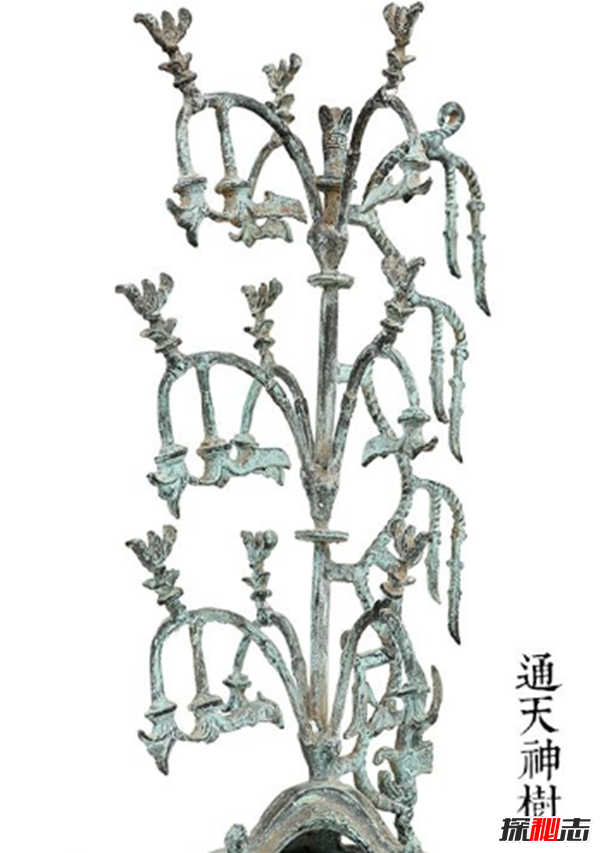 青銅神樹(shù)的秘密揭秘:青銅神樹(shù)為什么逆天?