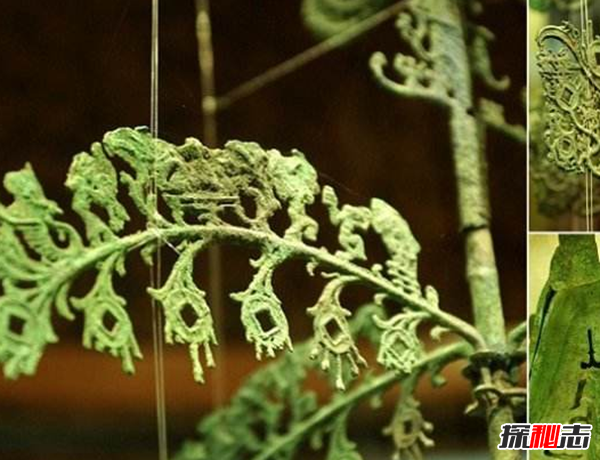 青銅神樹(shù)的秘密揭秘:青銅神樹(shù)為什么逆天?