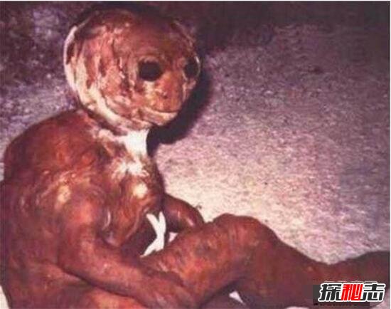 怪異的拉夫蘭青蛙人,人與青蛙交配的結果?