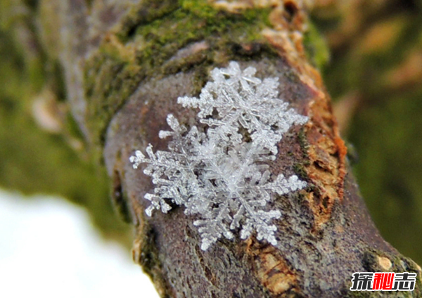 冬天的特點(diǎn)有哪些?冬天的十大優(yōu)點(diǎn)與缺點(diǎn)