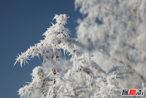 冬天的特點(diǎn)有哪些?冬天的十大優(yōu)點(diǎn)與缺點(diǎn)