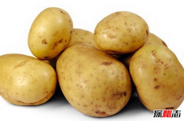 減肥要遠離哪些食物?揭秘減肥不能碰的10種食物